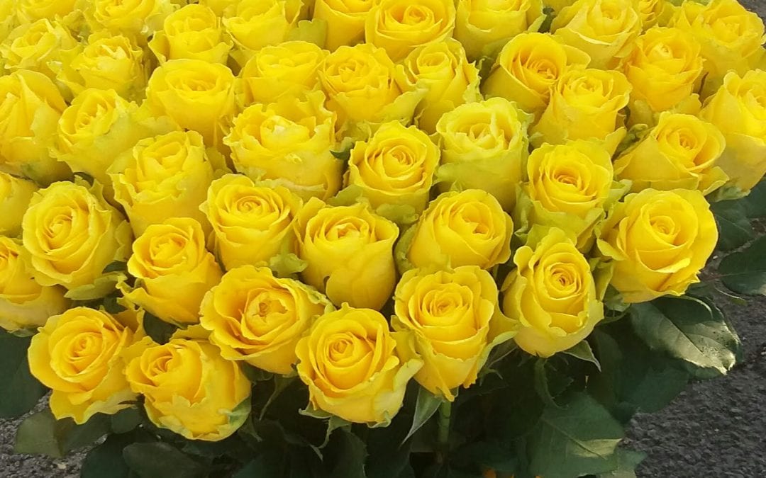 Egymásban vagyunk, ez a legnagyobb titok