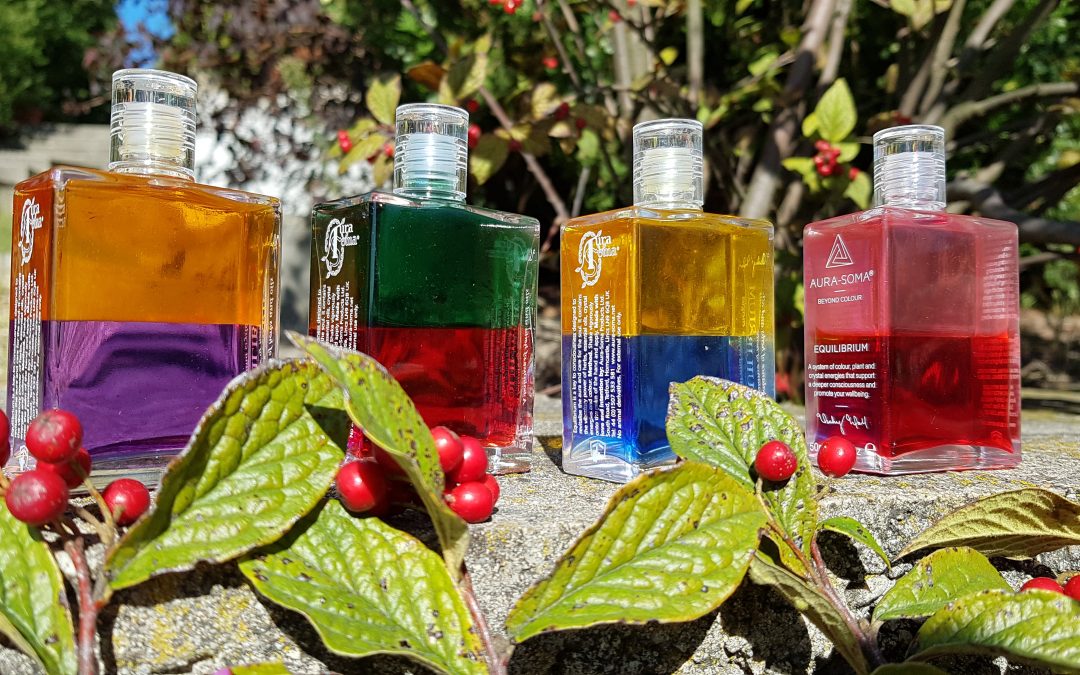 Ha ősz, akkor betakarítás és újratervezés